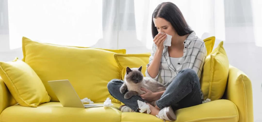 Alergia na kota: objawy u dziecka, które warto znać, aby pomóc