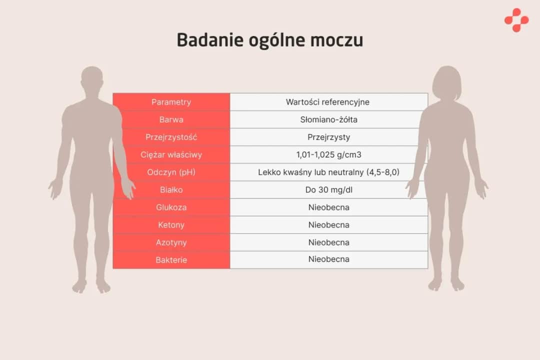Co wykryje badanie moczu i jakie objawy mogą zaskoczyć?