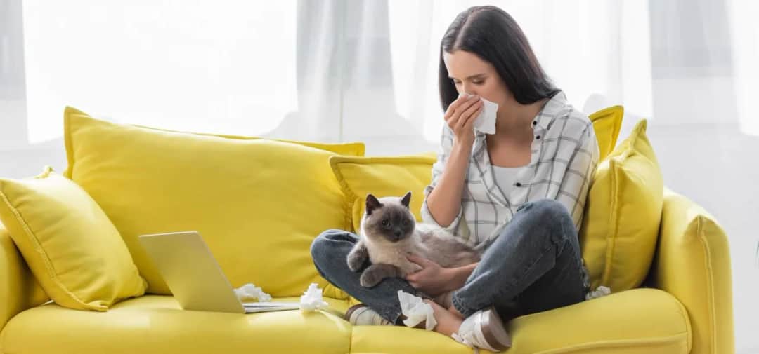 Alergia na kota objawy: Jak rozpoznać i złagodzić dolegliwości